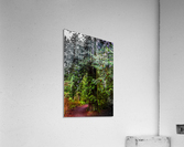 Blind Acrylic Print