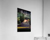 Friend Acrylic Print