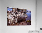 Landed Acrylic Print