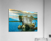 Adrift Acrylic Print