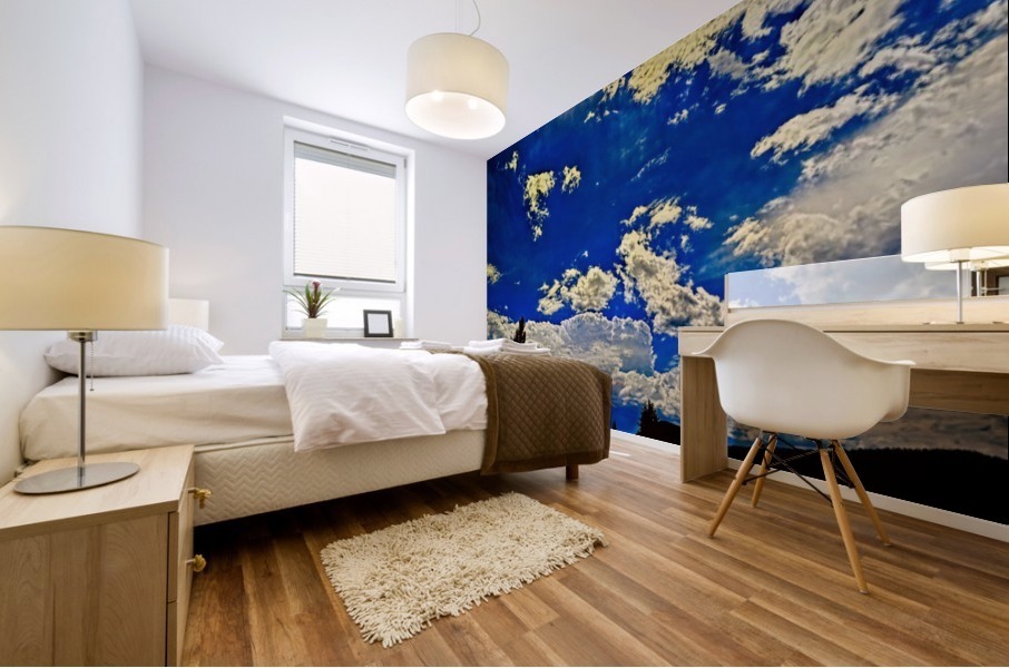 Exit Mural print
