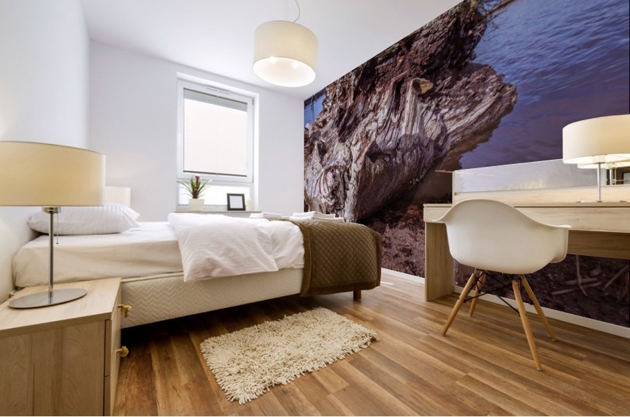 Landed Mural print