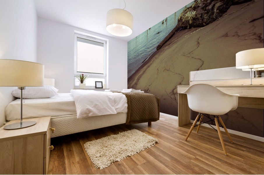 Past Mural print