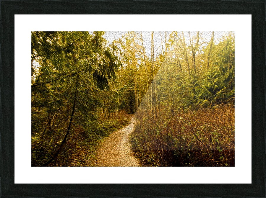 Walk Picture Frame print