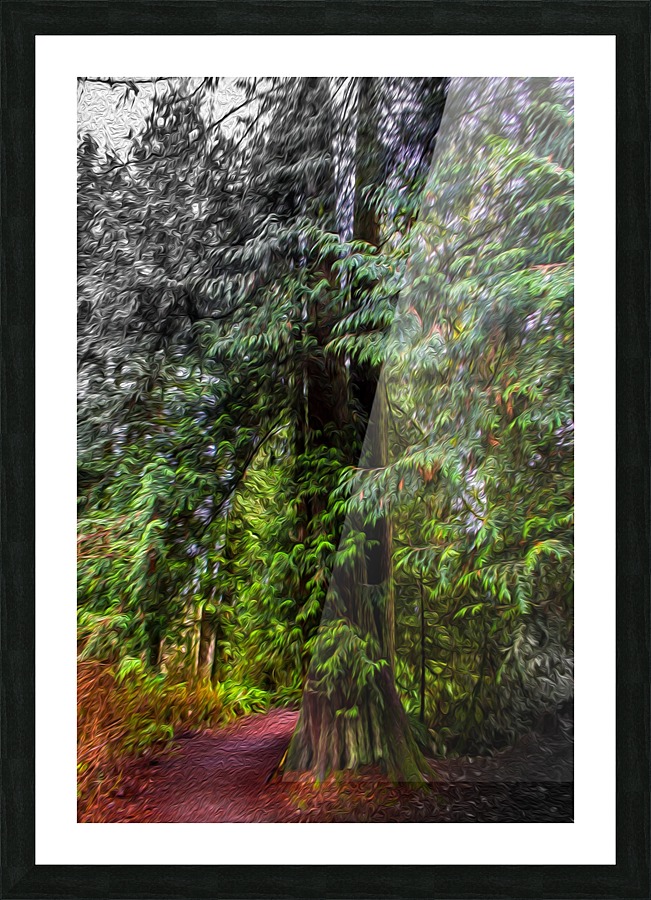 Blind Picture Frame print
