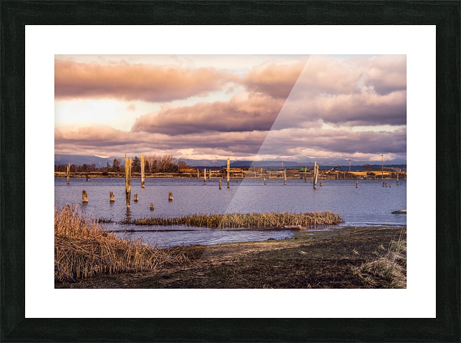 open Picture Frame print