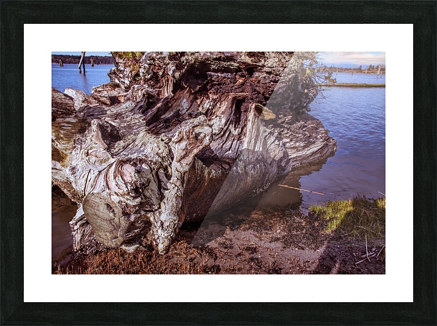 Landed Picture Frame print