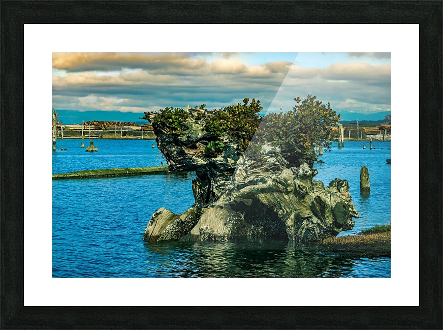 Adrift Picture Frame print