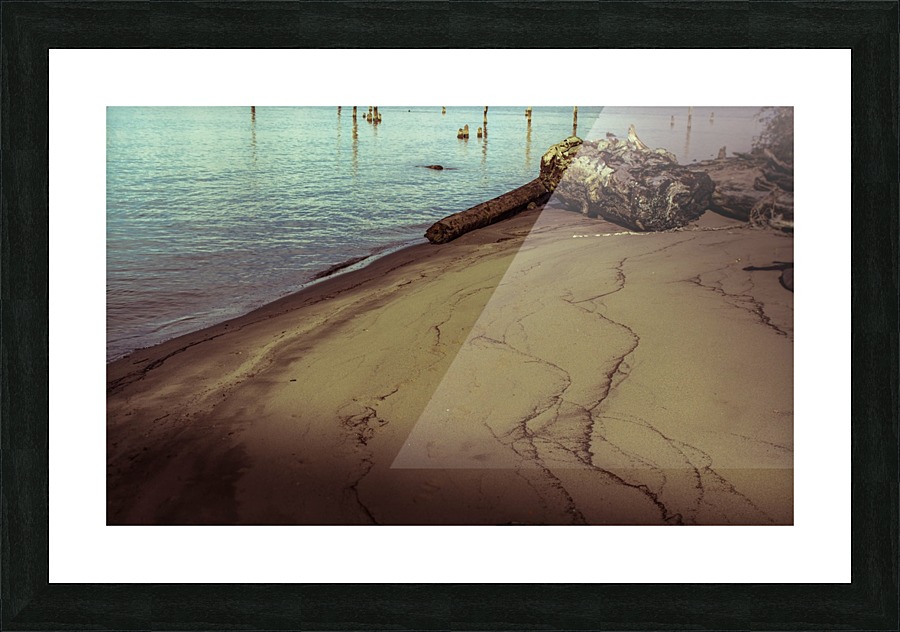 Past Picture Frame print