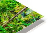 When HD Metal print
