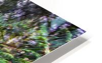 Blind HD Metal print