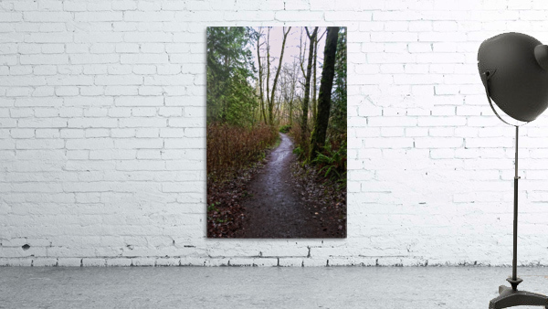Less Wall Preview