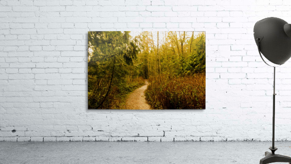 Walk Wall Preview