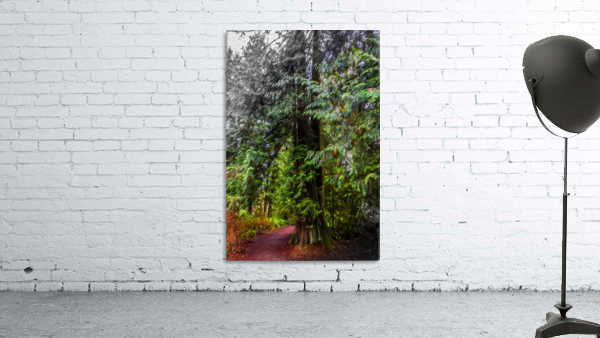 Blind Wall Preview