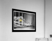 Caiman Eye Acrylic Print