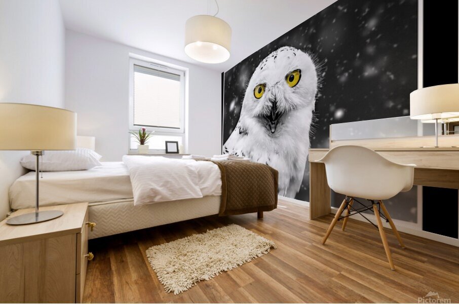 Snowy Owl Mural print