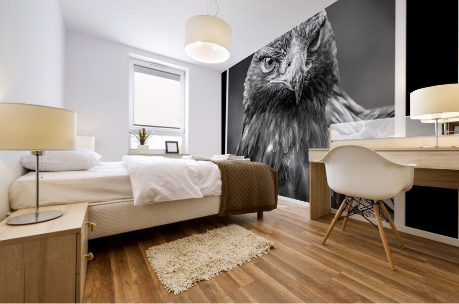 Golden Eagle Mural print