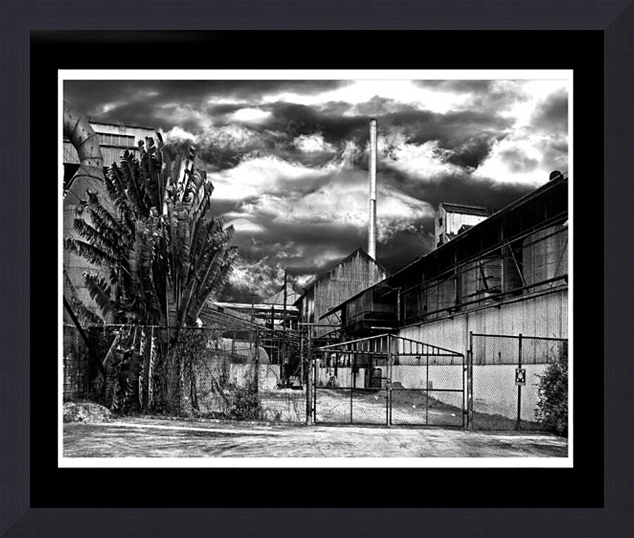  Fine Art print