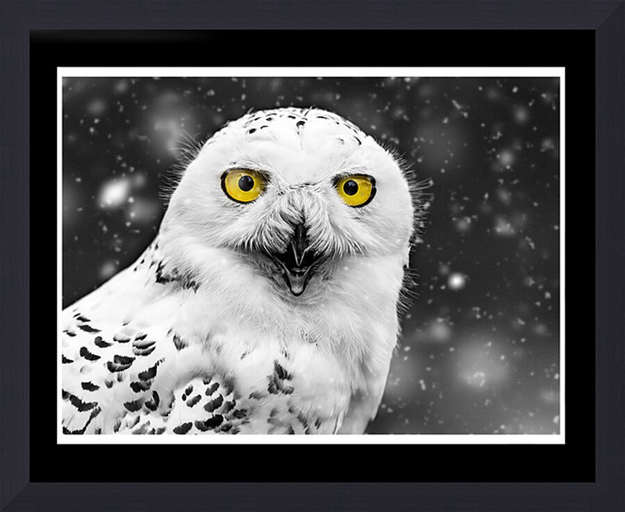  Fine Art print
