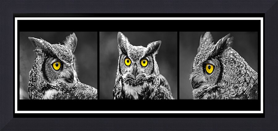  Fine Art print
