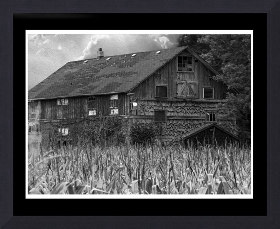  Fine Art print