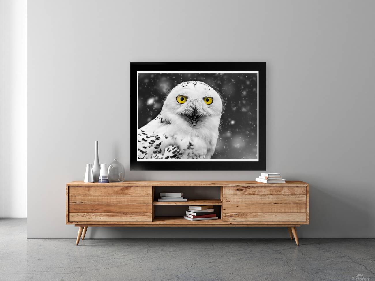 Snowy Owl Reproduction