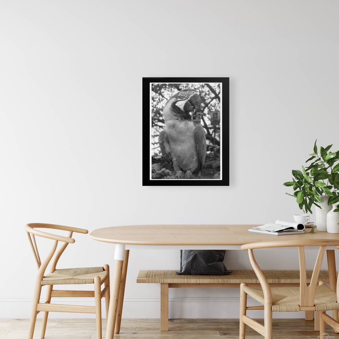 Jungle Messenger Reproduction