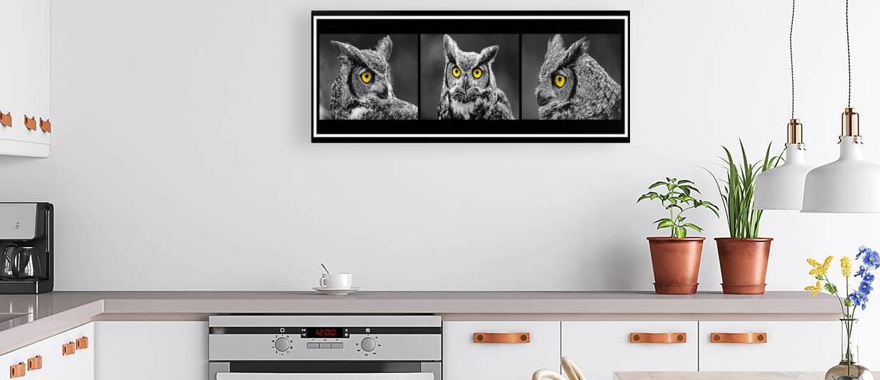 Great Horned Owl Triptych by Anthony B Studios
