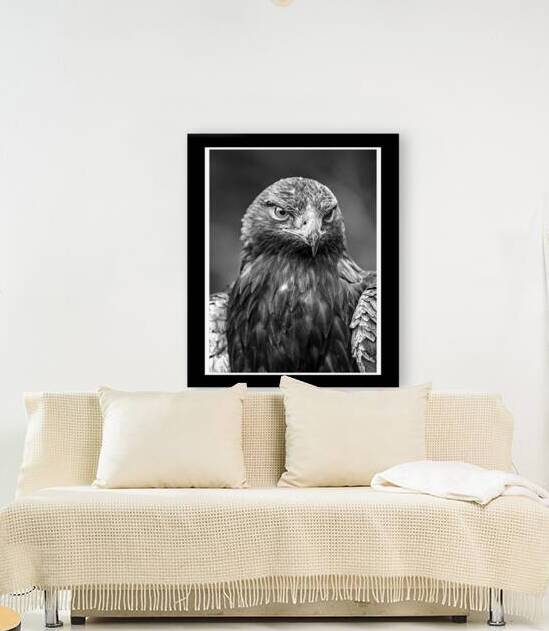 Golden Eagle by Anthony B Studios