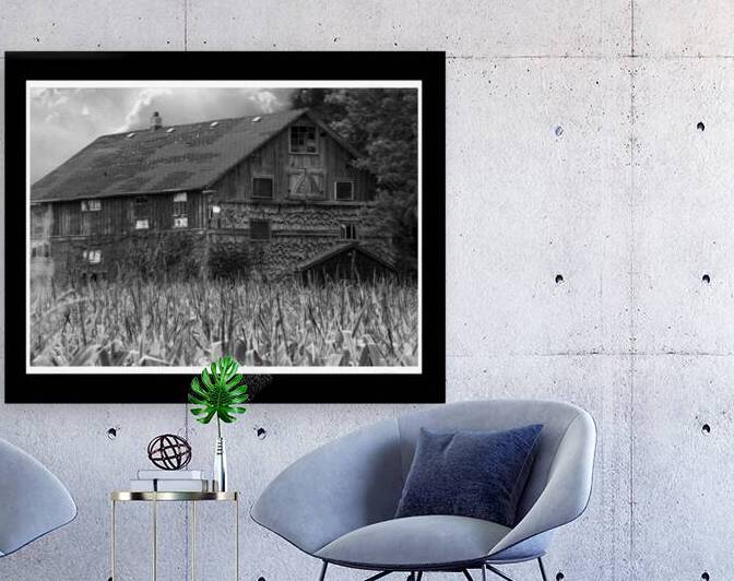 Homestead Harvest by Anthony B Studios