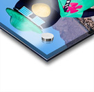 Penguin Photographer Hot Air Balloon Acrylic print