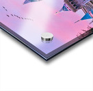 Sunset Birds over Castle Acrylic print