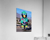 Penguin Photographer Hot Air Balloon Acrylic Print