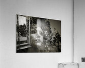 Contemplative Reflections Acrylic Print