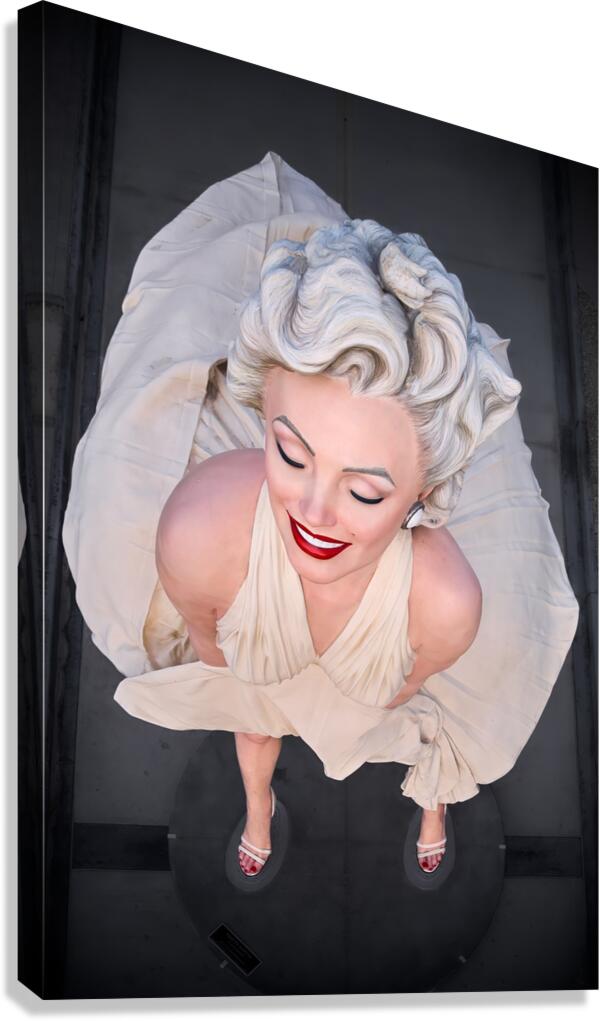 New Heights Starlet Canvas Print