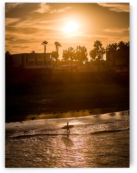 San Diego Surfer Sunrise Spotlight Vertical by Ryan Cameron