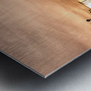 Sunrise Bay Bridge Photographer  Metal print