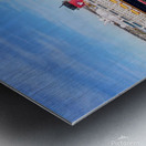 Disney Wonder In San Diego Metal print