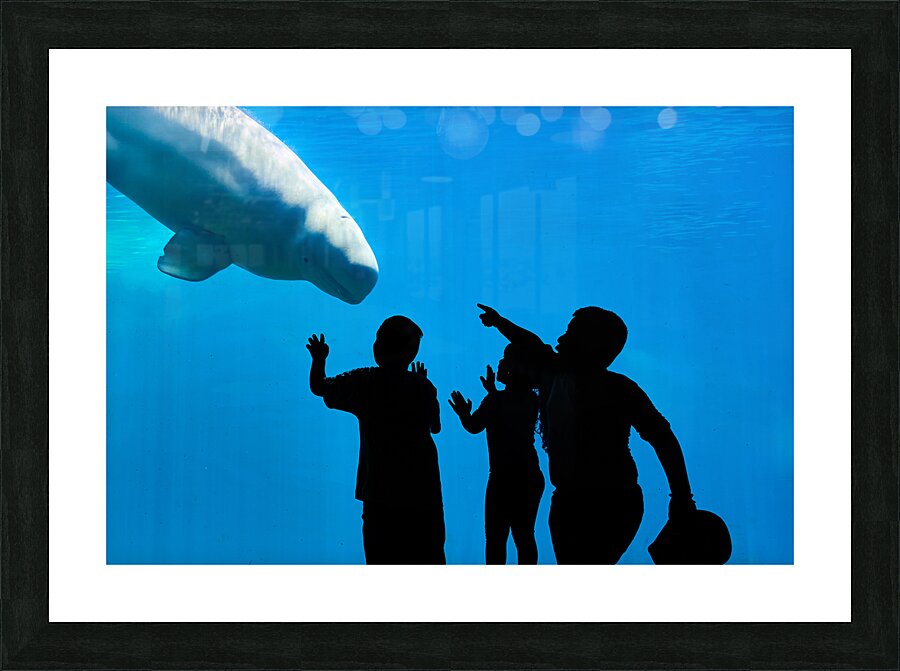 Young Curiosity Picture Frame print
