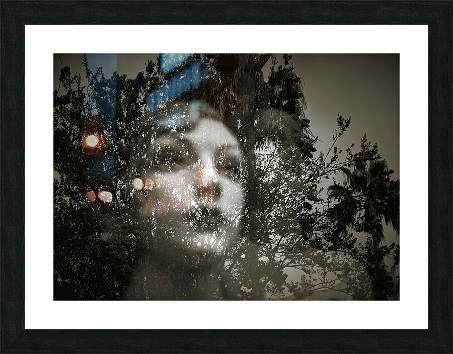 Contemplative Reflections Picture Frame print