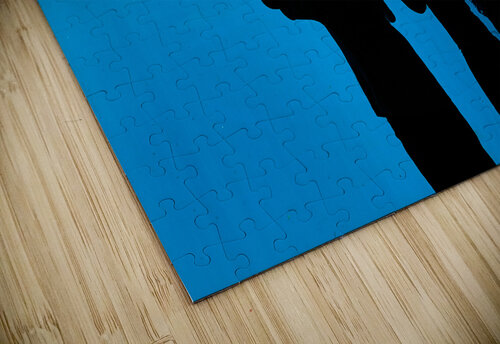 Young Curiosity Ryan Cameron puzzle