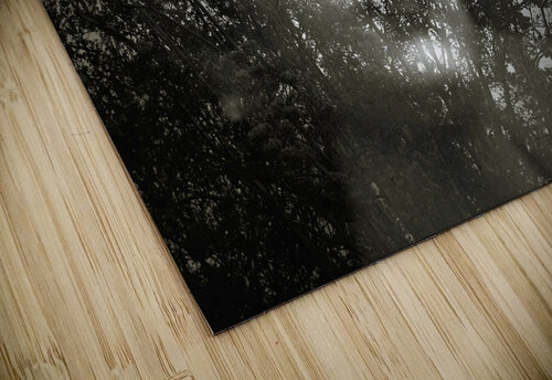 Contemplative Reflections Ryan Cameron puzzle