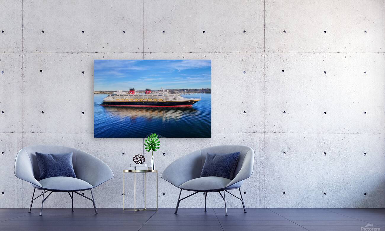 Disney Wonder In San Diego Reproduction