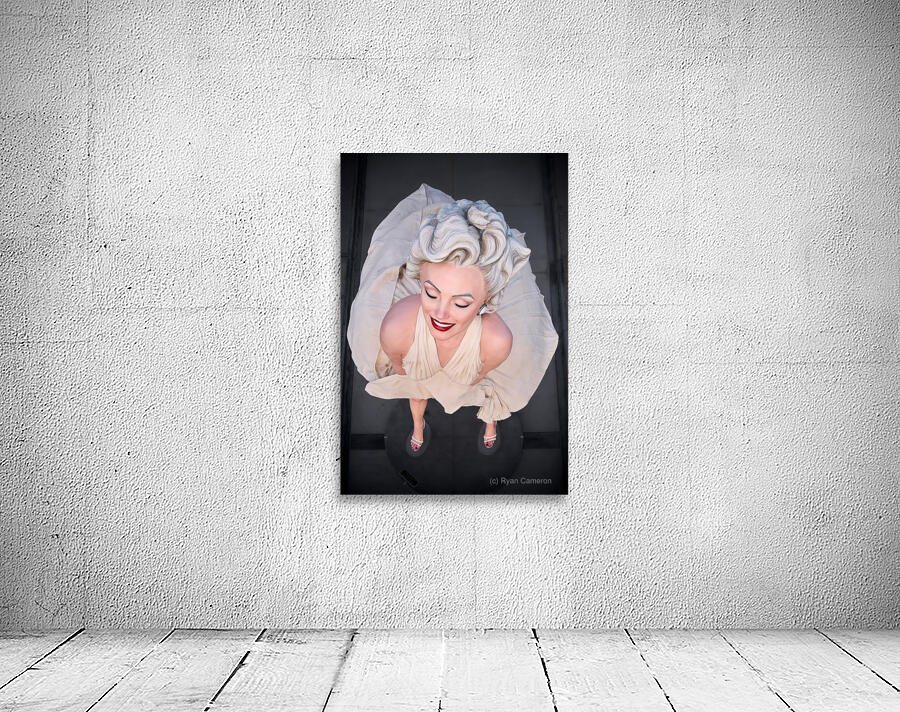 New Heights Starlet Wall Preview