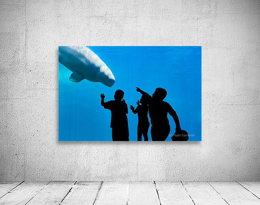 Young Curiosity Wall Preview