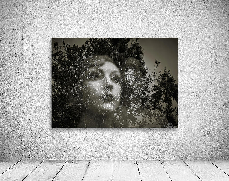 Contemplative Reflections Wall Preview