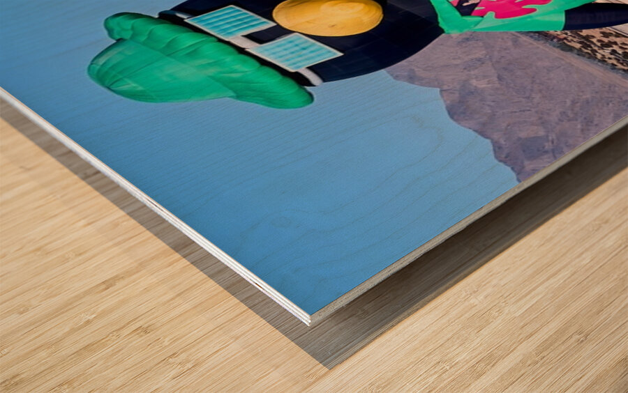 Penguin Photographer Hot Air Balloon Wood print