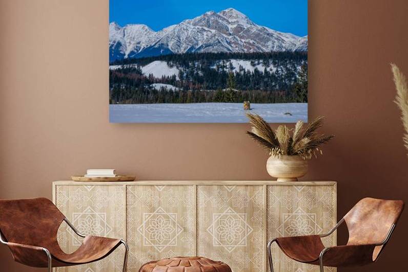 Jasper in Winter Reproduction