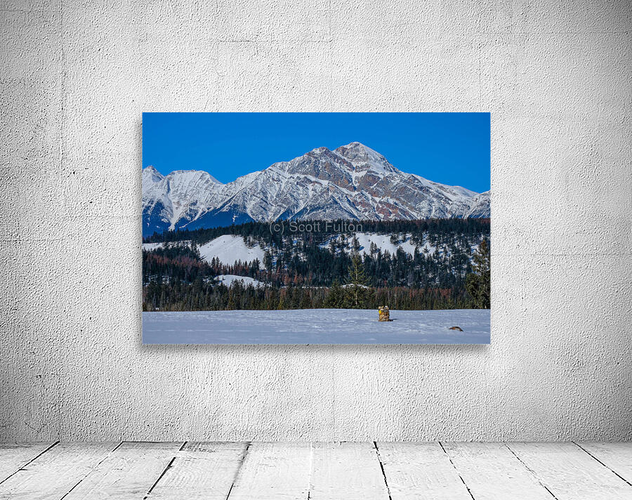 Jasper in Winter Wall Preview