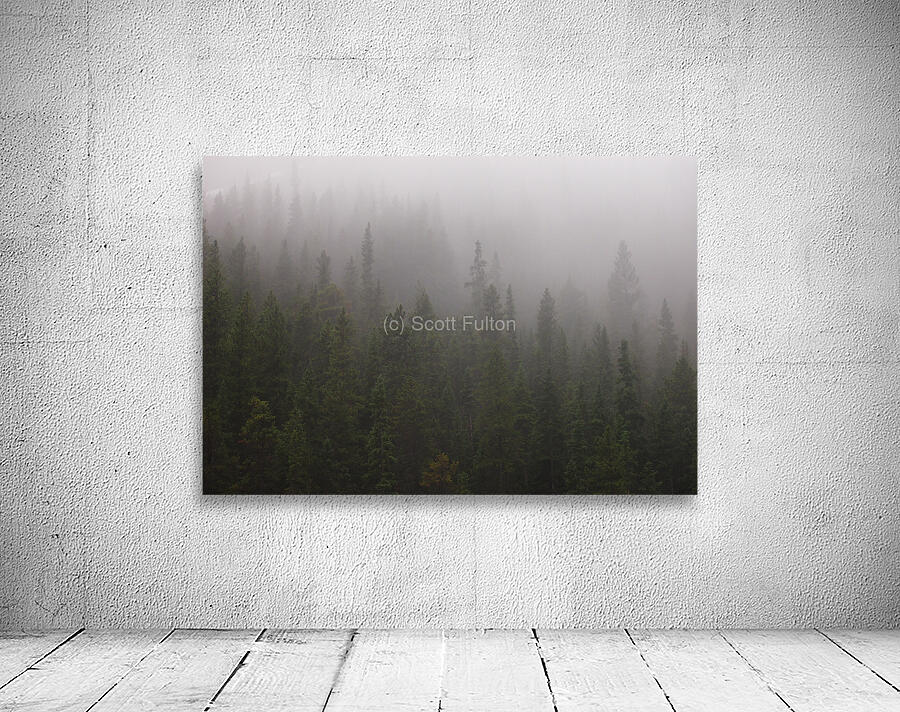 Trees in Fog Wall Preview